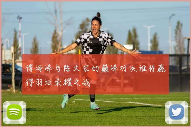 傅海峰与陈文宏的巅峰对决谁将赢得羽坛荣耀之战
