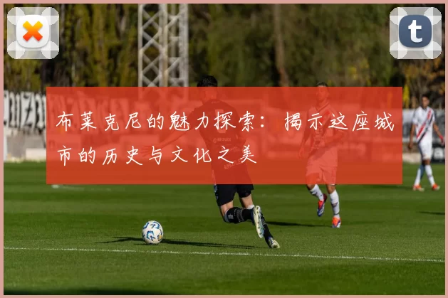 布莱克尼的魅力探索：揭示这座城市的历史与文化之美