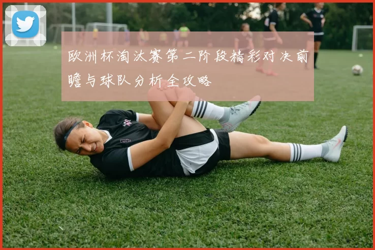 欧洲杯淘汰赛第二阶段精彩对决前瞻与球队分析全攻略