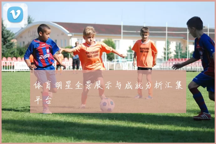 体育明星全景展示与成就分析汇集平台